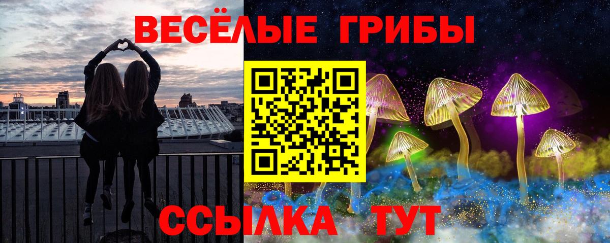 Псилоцибиновые грибы Psilocybine cubensis Курчатов