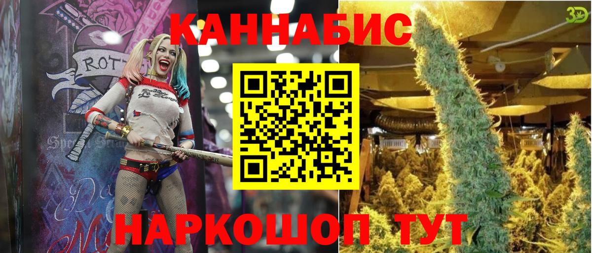 Курчатов  Конопля план  Вход с VPN  Шишки марихуана SATIVA & INDICA  Бошки Шишки гибрид 